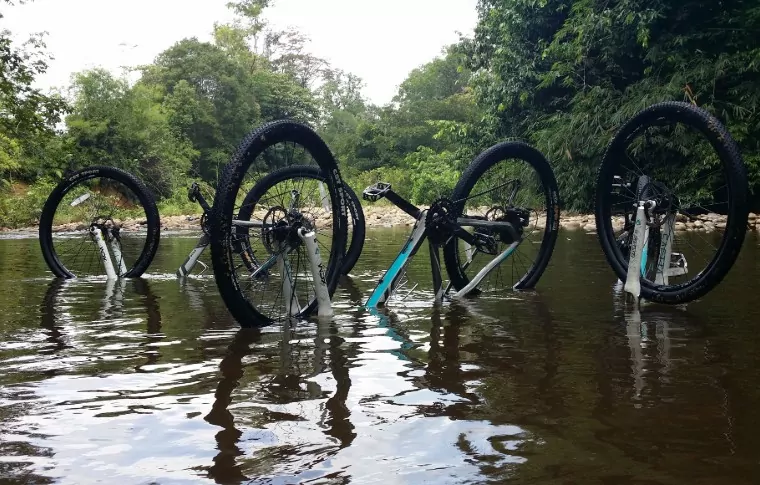 Mountain Biking, Jungle, & River Adventure